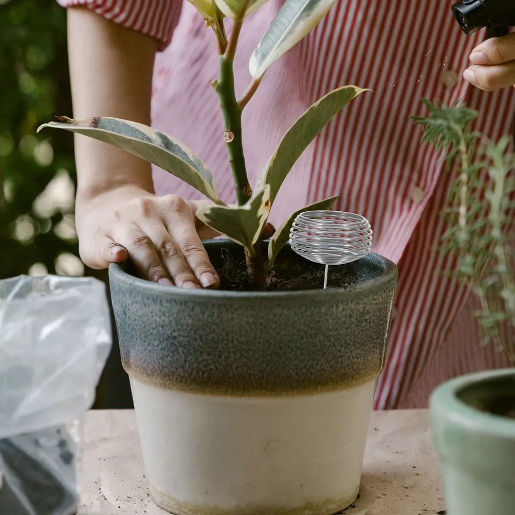 

16 pcs Stainless Steel Box Bonsai Plant Nutrition Cups Holder Jade Basket Gardening Tools Suitable Orchids Potted