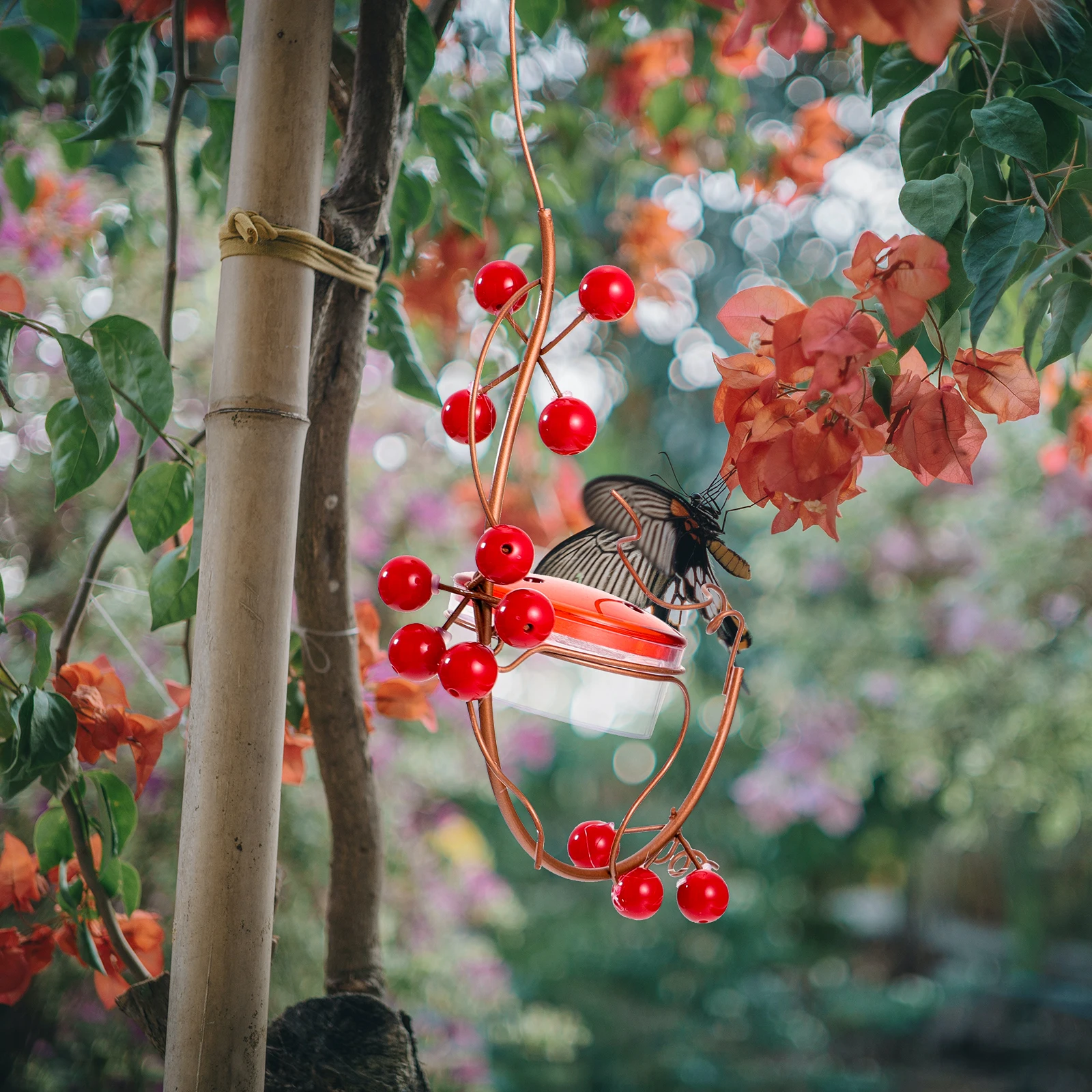 

Premium Hanging Bird Feeder Long Lasting Bird Food Dispenser for Outdoors