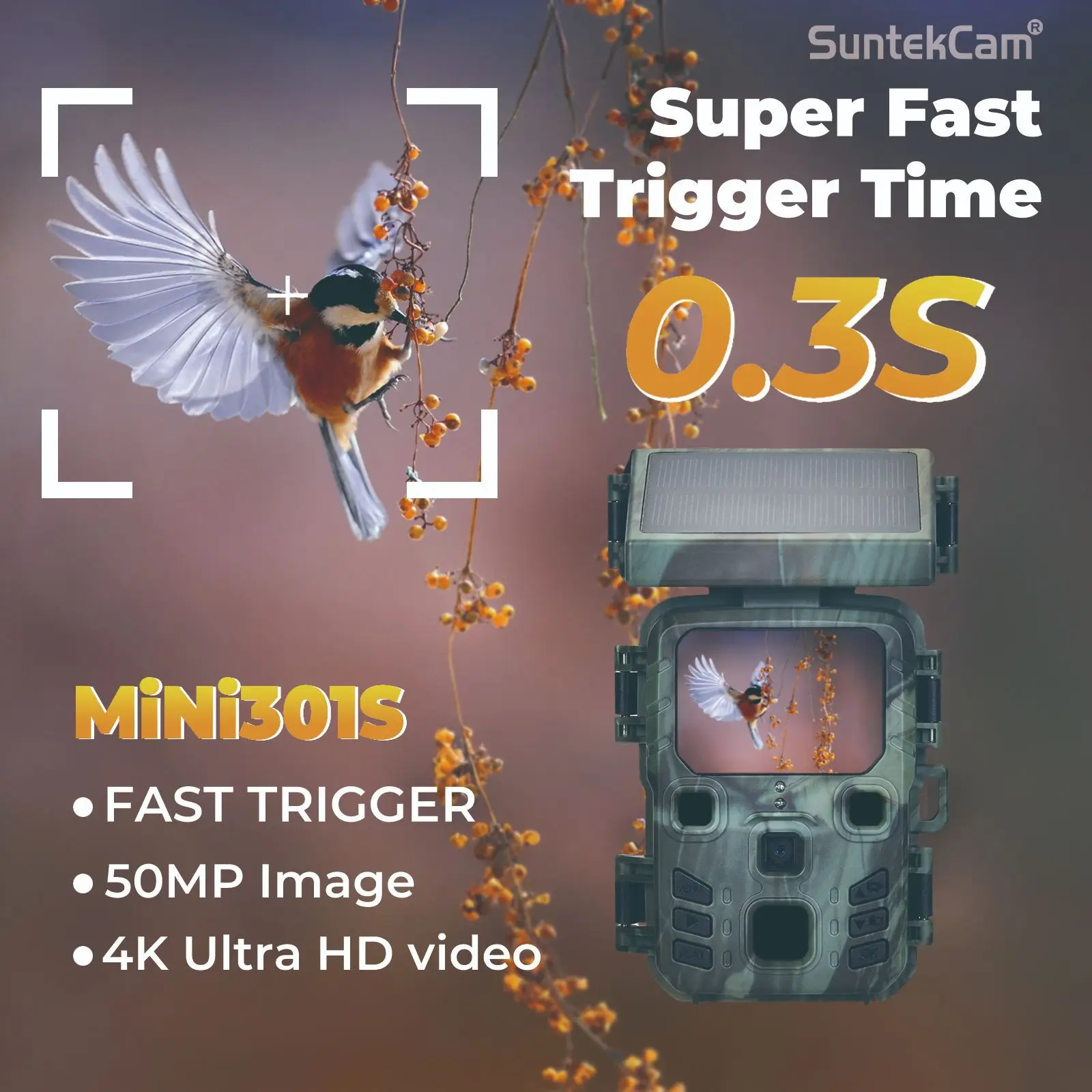 Thumbnail 4 - #25 Latest Wildlife Cameras Offers