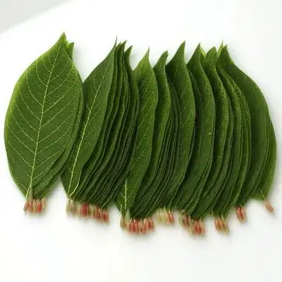 

50pcs Artificial Decor Lifelike Fake Leaves Faux Green Plant For Faux Leaves Home Wedding Photo Props Scene Decor