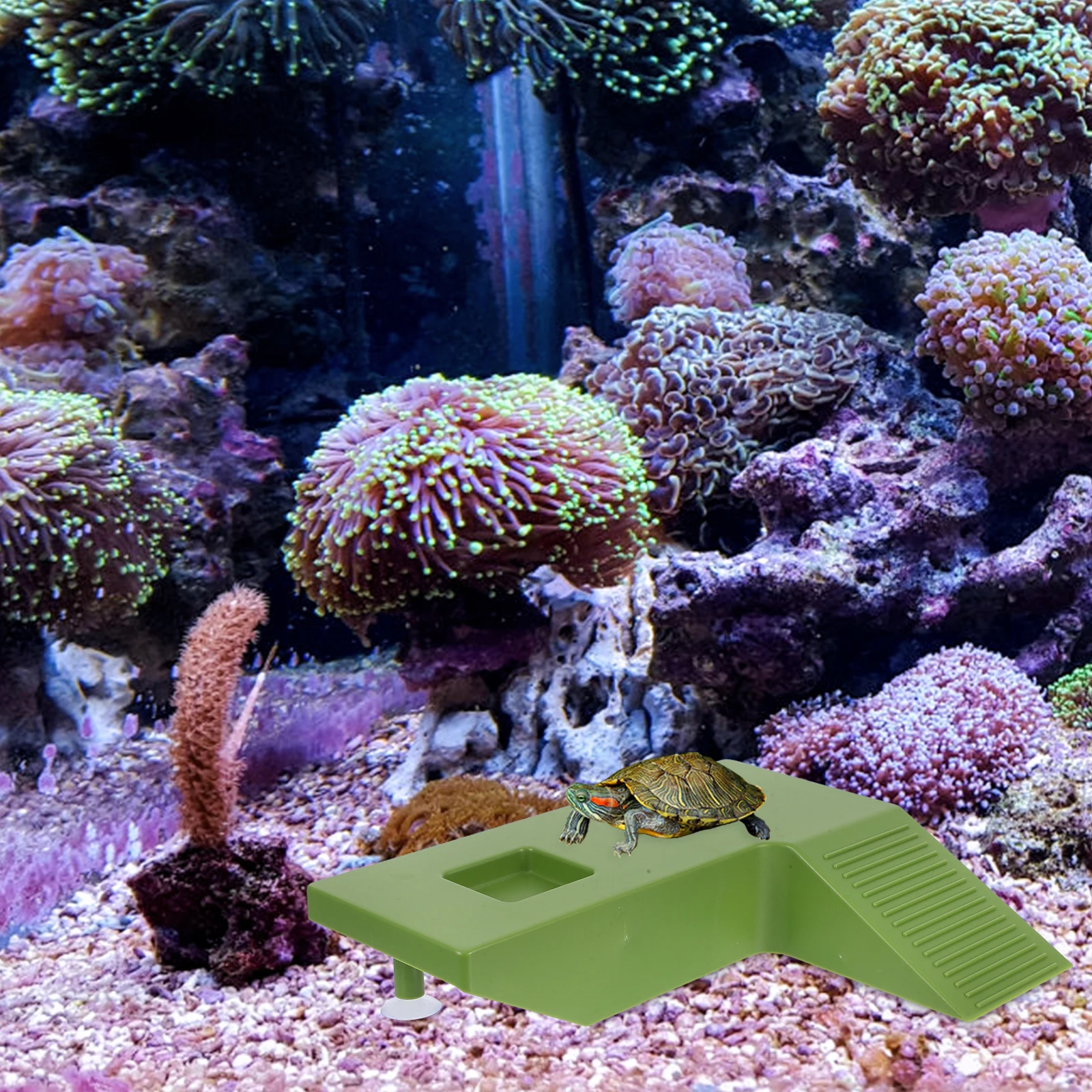 

Aquatic Turtle Basking Platform Reptile Habitat Ramp Comfortable Sunlight Exposure Easy Installation Turtle Basking Platform