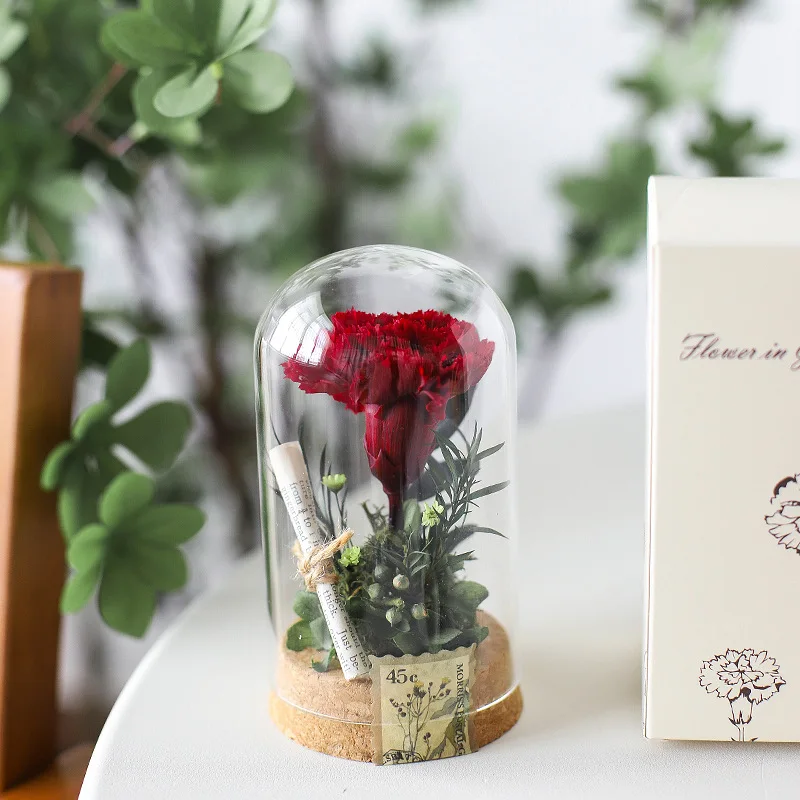 DIY Material Package Eternal Flowers Wishing Vase Dandelion Carnation Valentine'S Day Mother'S Day Special Romantic Gift