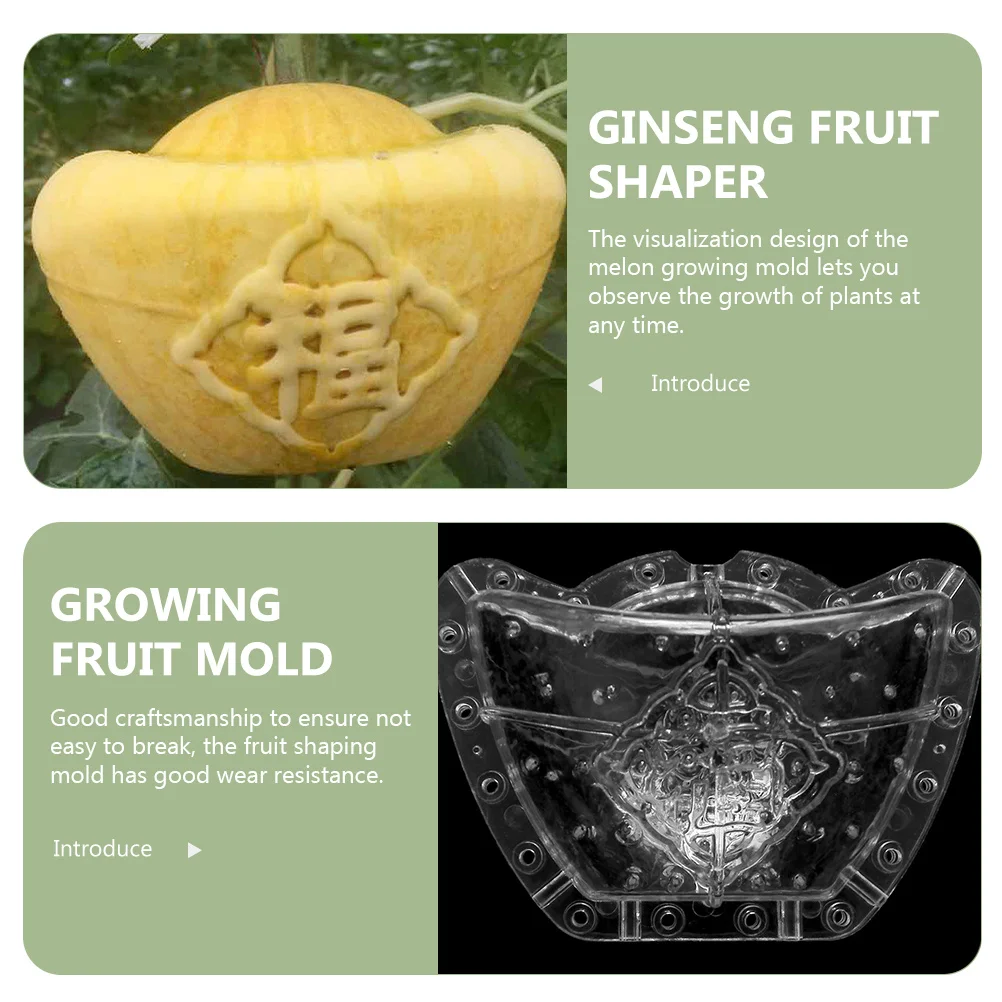 

Yuanbao Mold Clear Fruit Shaping Tool For Melon Ginseng Fruit Gourd Growing Transparent Reusable Plastic Vegetable Former