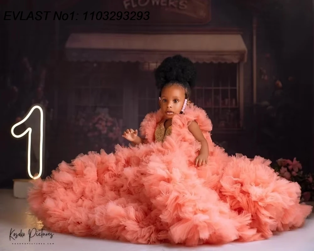 EVLAS Customized Luxury Beaded Flower Girl Dress Tulle Ruffles Princess Baby Girls First Birthday Party Dress For Wedding TFD188