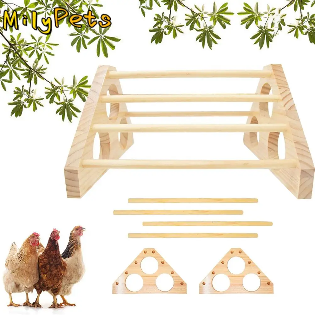 Ducks Goose Trainni… - image