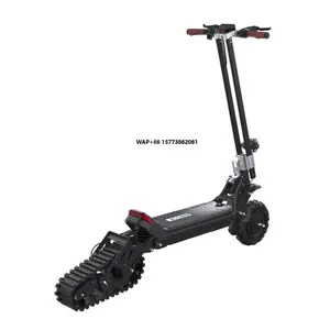 Electric Snow Scooter for Adults High Quality 1800w Motor 11inch Wheels Electronic Smart Type for Snowboarding