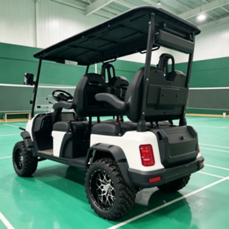 Dylante New 60V 72V Lithium Battery Electric Sightseeing Electric Golf Cart Seats With Armrests Gear Adjustment Bumper Sound Bar