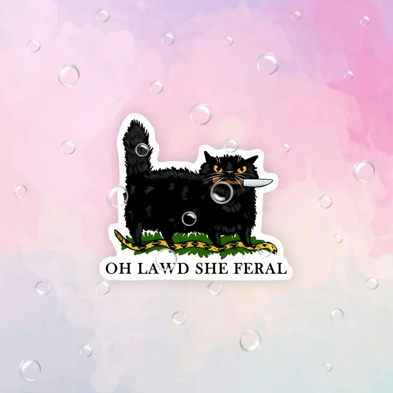 Oh my god, she's a wild black cat 