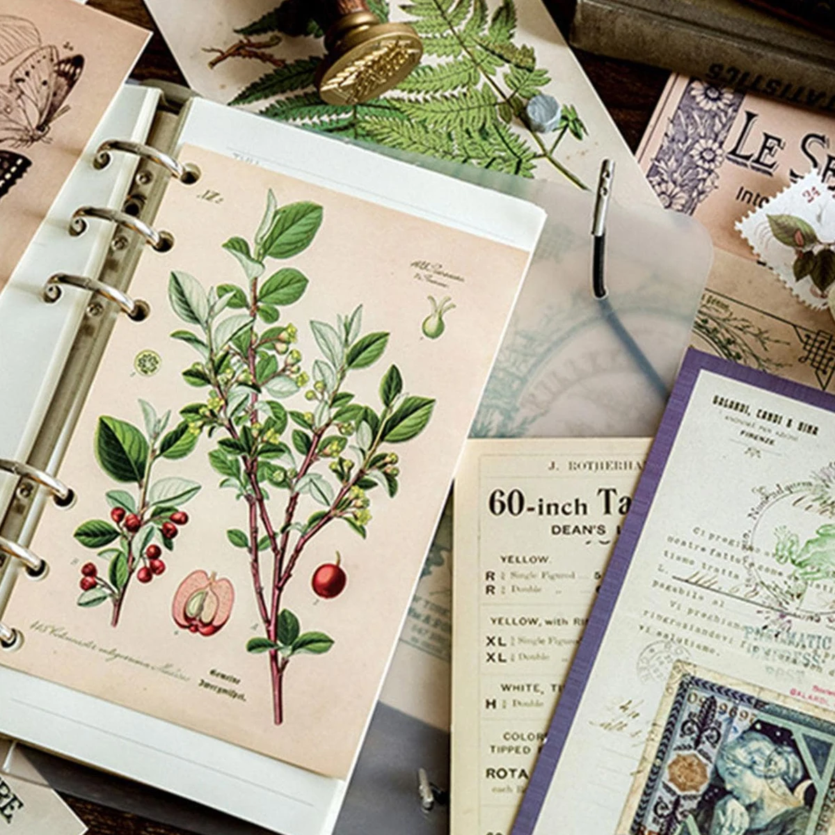 30 pcs Retro Ancient Forest Animals Plants Specimen Postcard Vintage Creative Writing Greeting Postcards Diar Journals DIY