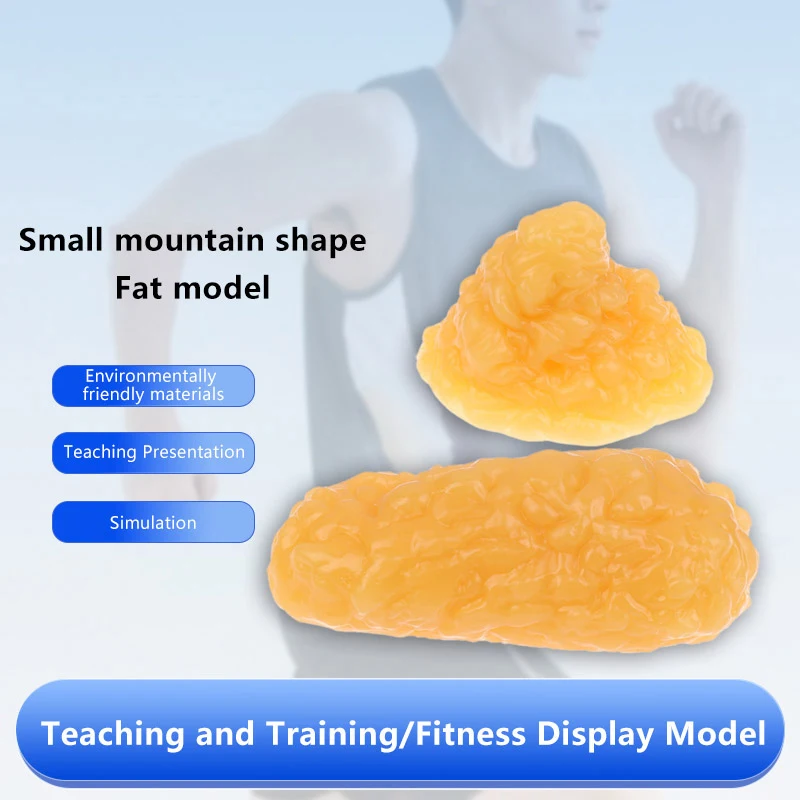 Fat Replica Fatty Tissue Model Human Body Fat Replica 1lb Human Fatty Tissue Demonstration Model For Nutritionist Science Course