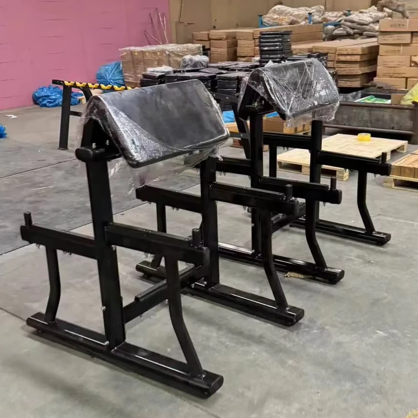 

Adjustable Gym Bicep Training Machine With Integrated Dumbbell Bench Trainer in Benches & Racks MS635