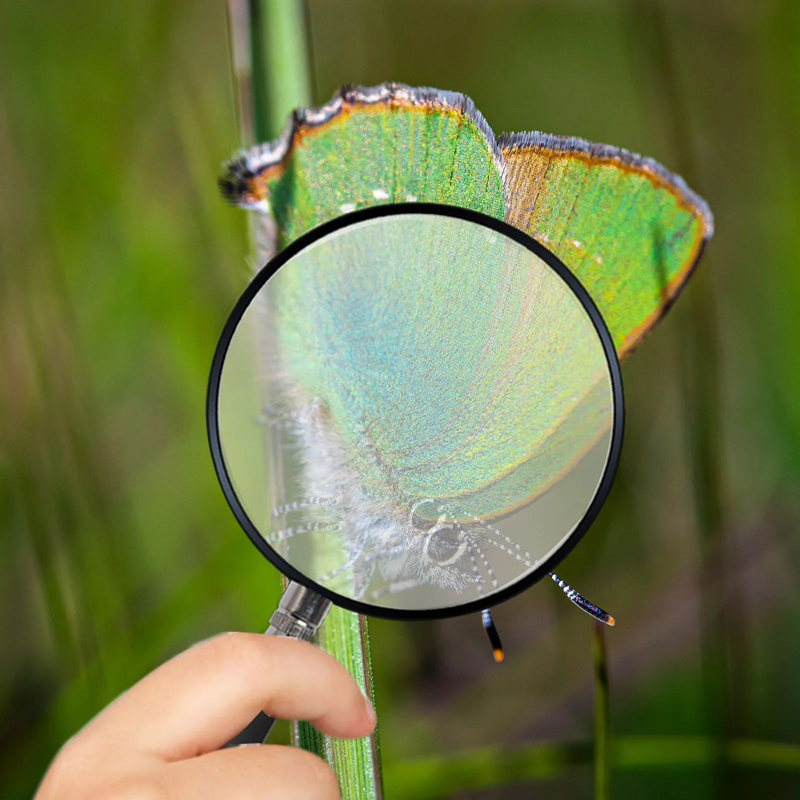 

10Pcs Double Convex Lens 4.7x Magnifying Optical Glass Lens for Physics Classroom Science Experiments Reading Jewelry Inspection