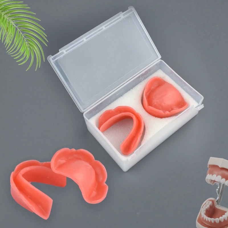 

Dental Wax Embankment Model of Edentulous Jaw Soft Wax Dental Model Student Learning Teaching Model