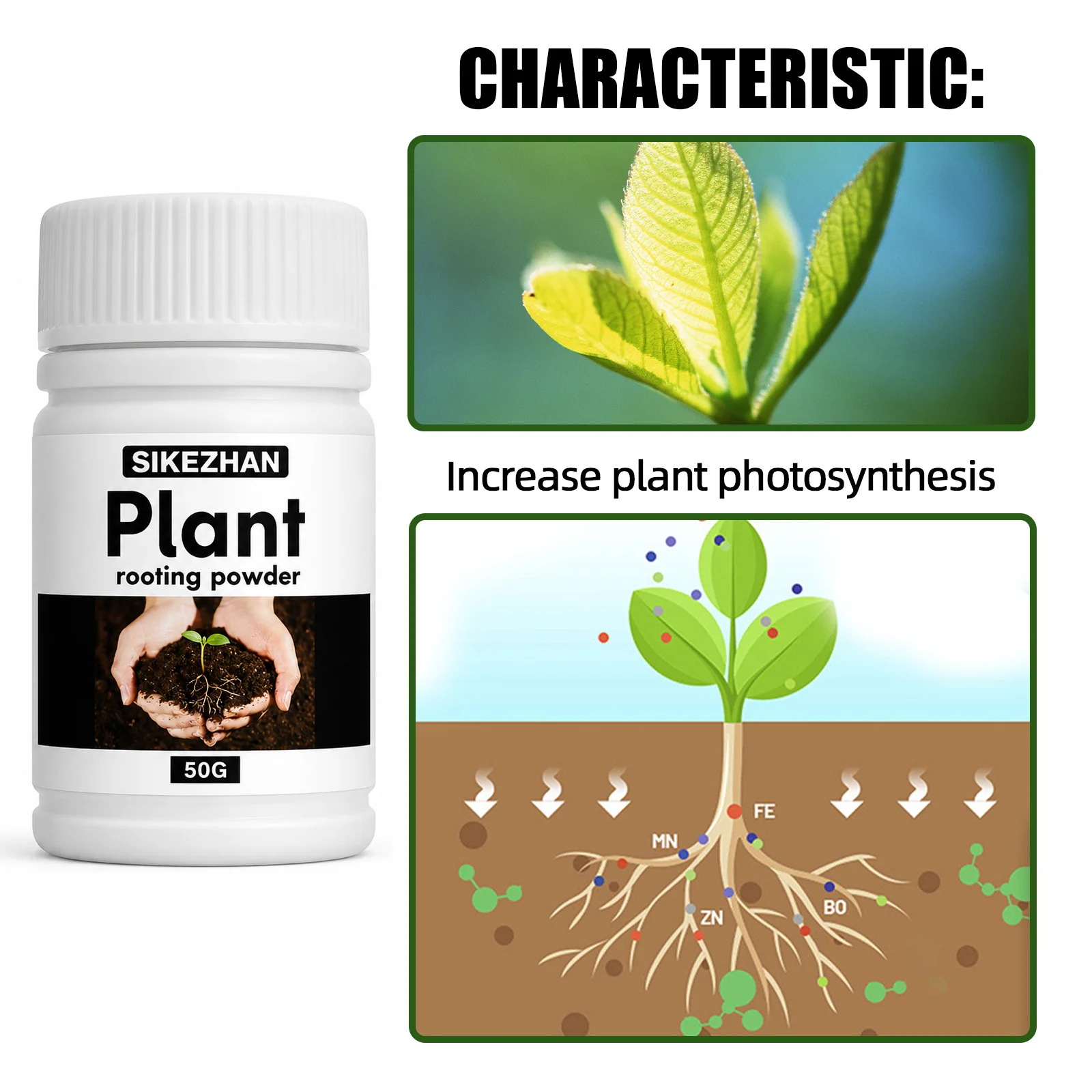 50g Szybki Proszek do Ukorzeni – Rooting Hormone Powder recenzja i cena