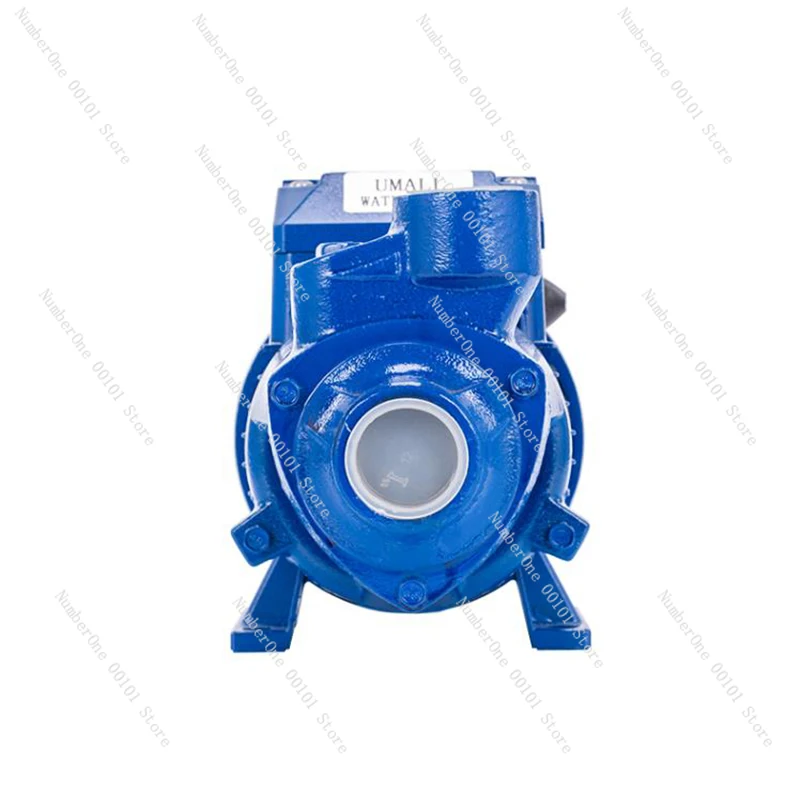 220V/110V Cast Iron Self Priming Centrifugal Water Pump High Pressure Booster Pump Well pumping self-priming pump 370W