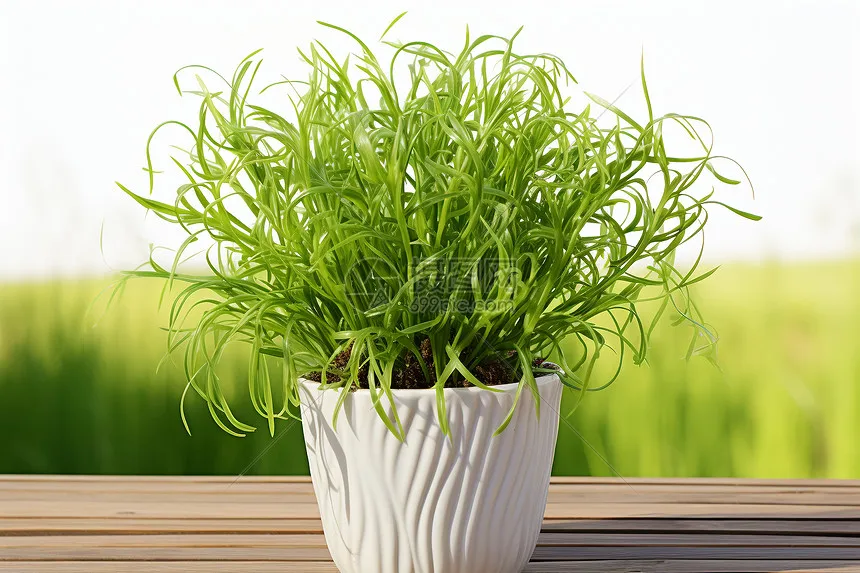 

MJX Waterproof Chassis Dirt Dust Cover Zipper-Type Nylon Mesh Protection For MJX 16207 16208 16209 16210 Spare Parts