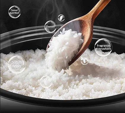 Silver Gray Commercial Rice Cooker Factory Price for Kitchen Equipment
