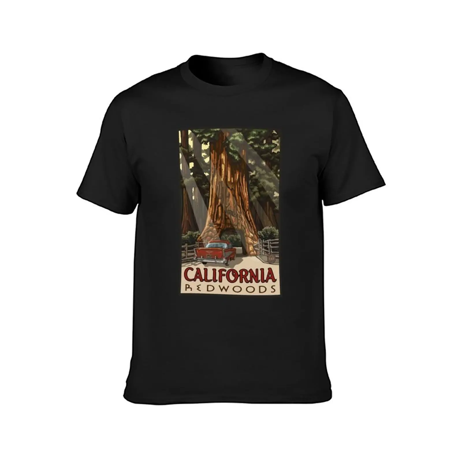 Redwood National Park California Vintage Travel Decal T-Shirt anime clothes new edition mens clothes