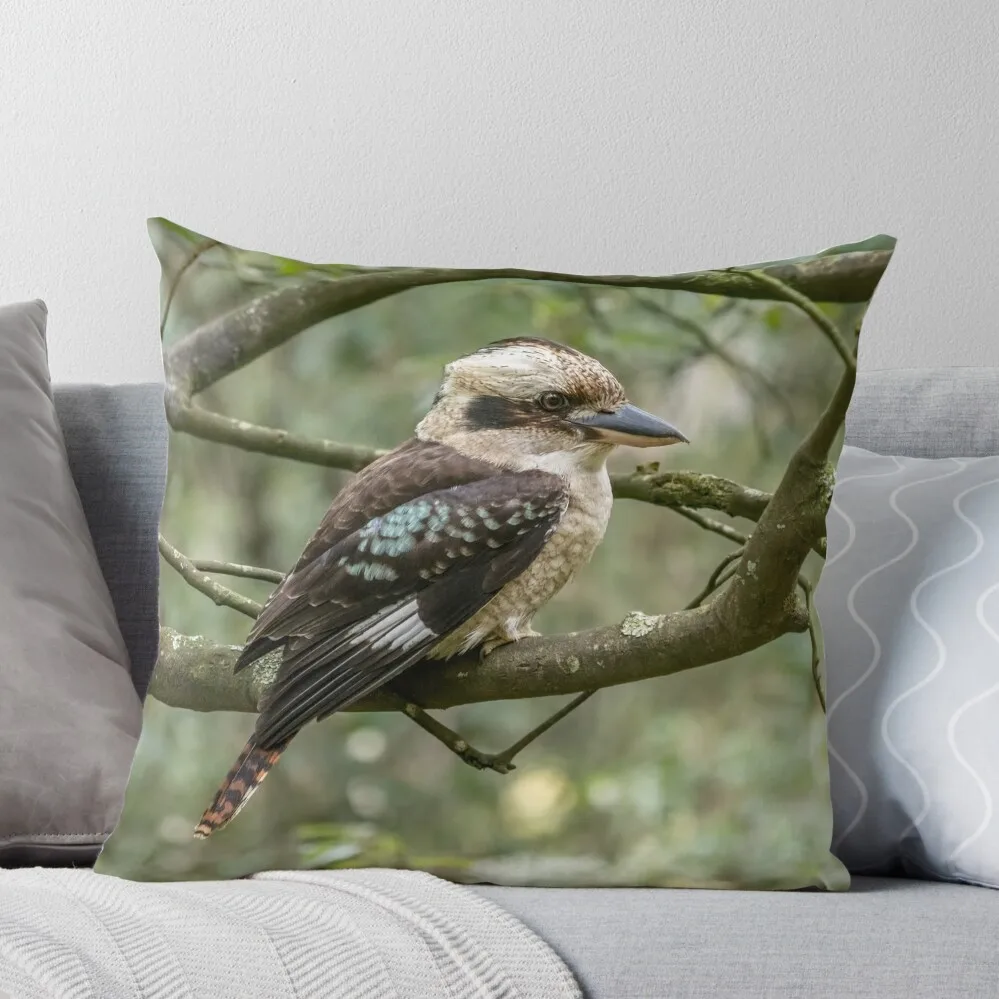 

Grant's Kookaburra - Australian Bird Gift Throw Pillow Custom Cushion Photo Elastic Cover For Sofa