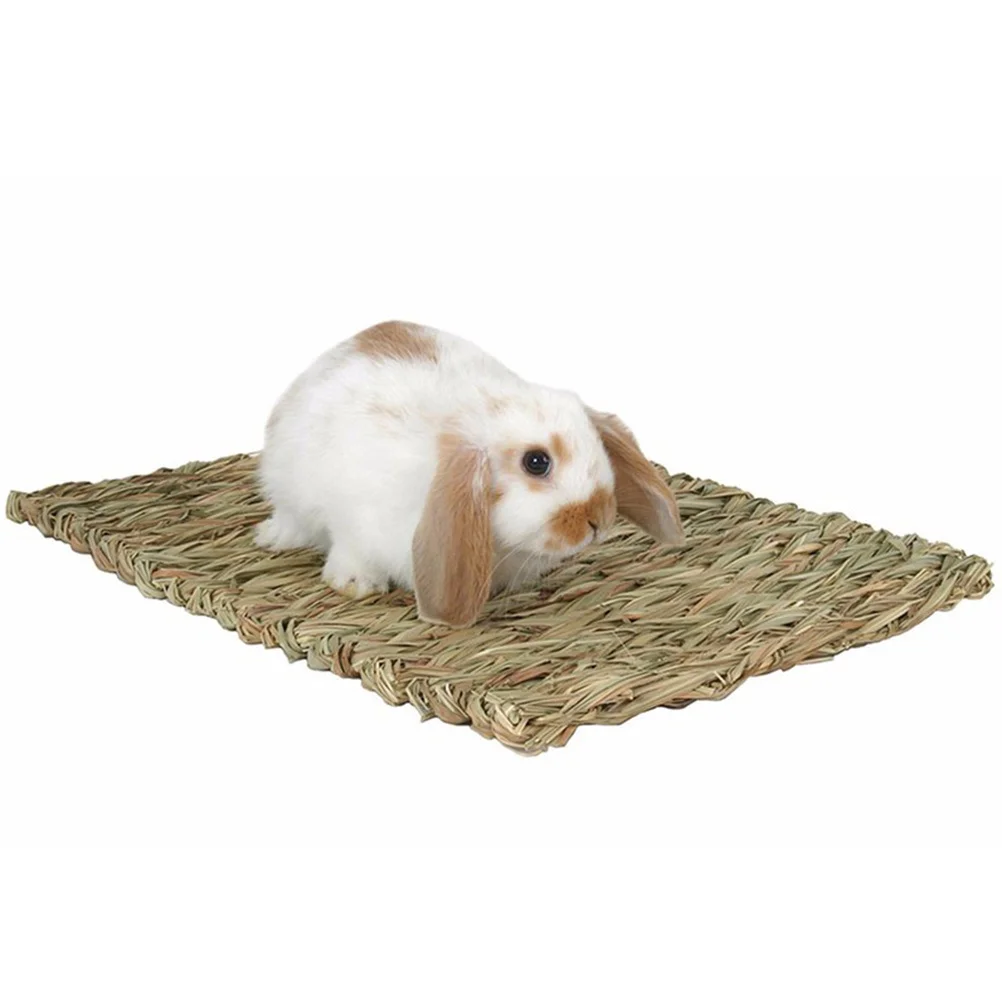 

2pcs Seagrass Pet Mat Eco Chew Bed For Rabbits Hamsters Guinea Pigs Cage Protection 40X28Cm Edible Fiber Mat Small Animal