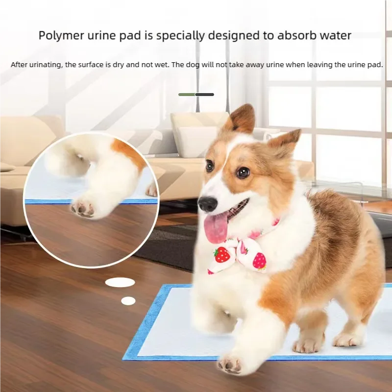 Thumbnail 3 - #12 Top 30 Dog Diapers Worth Buying In 2026