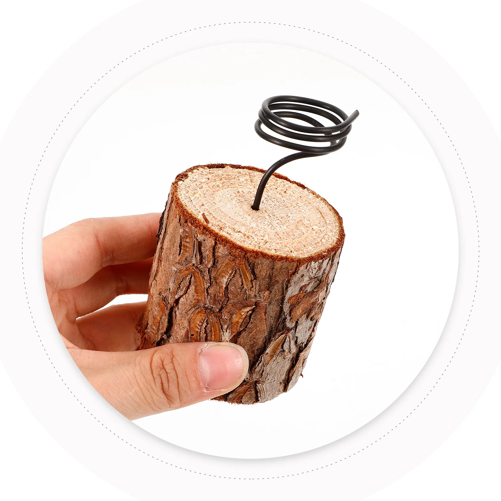 

Air Plant Shelves Resin Rack Geometric Planter Holder Tabletop Plant Display Stand Perfect for Garden Home Air Plants Holders