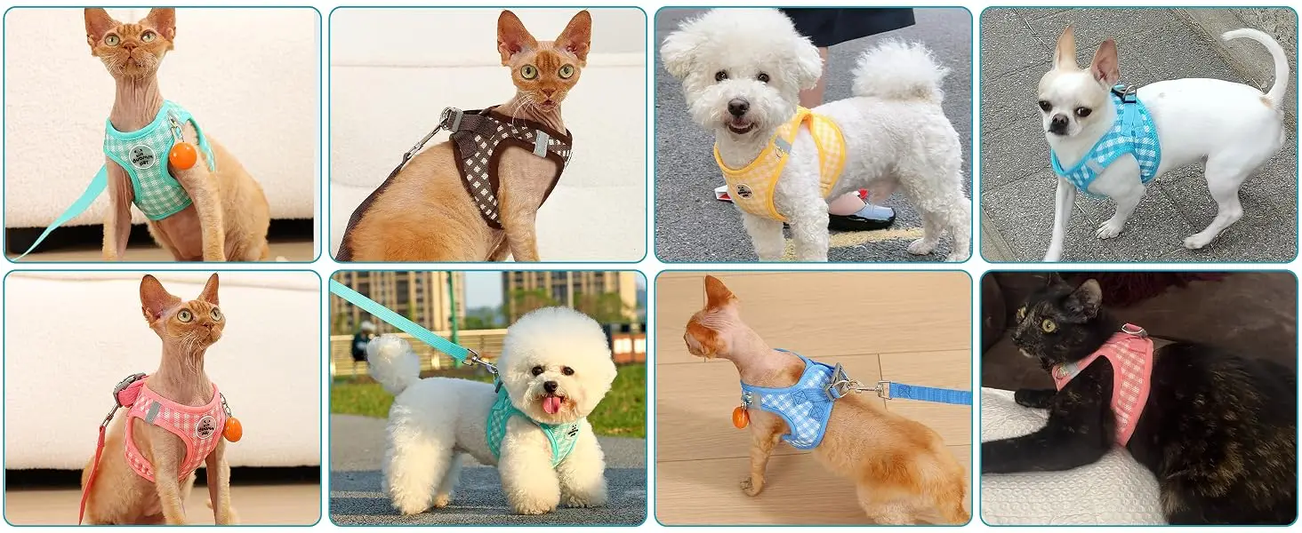 https://ae-pic-a1.aliexpress-media.com/kf/S9e8c2cd4e991483c9e48b100d793cb9as.jpg?width=1464&height=600&hash=2064