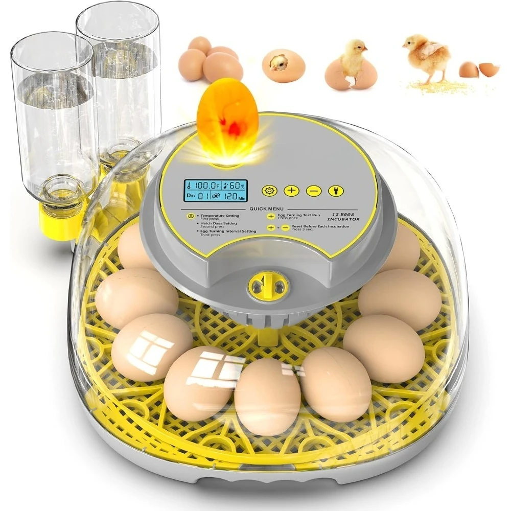 Hot Sale-Incubator for Hatching Eggs-12 Egg Capacity, Automatic Egg Turner, Temperature & Humidity Control, 360° Viewing