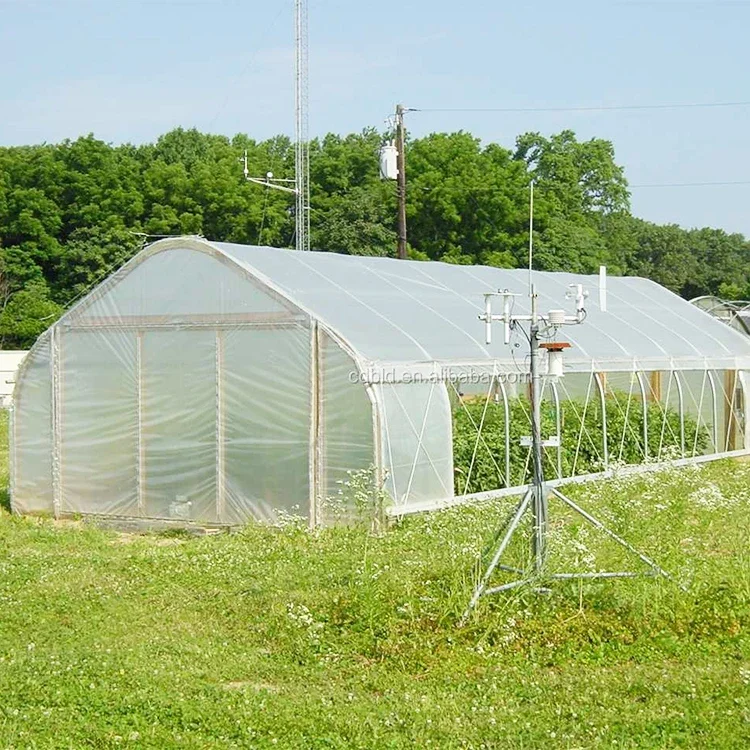 8x30 metal frame commercial single tunnel vegetable green house hoops agricultural  tomato greenhouse for farm sale