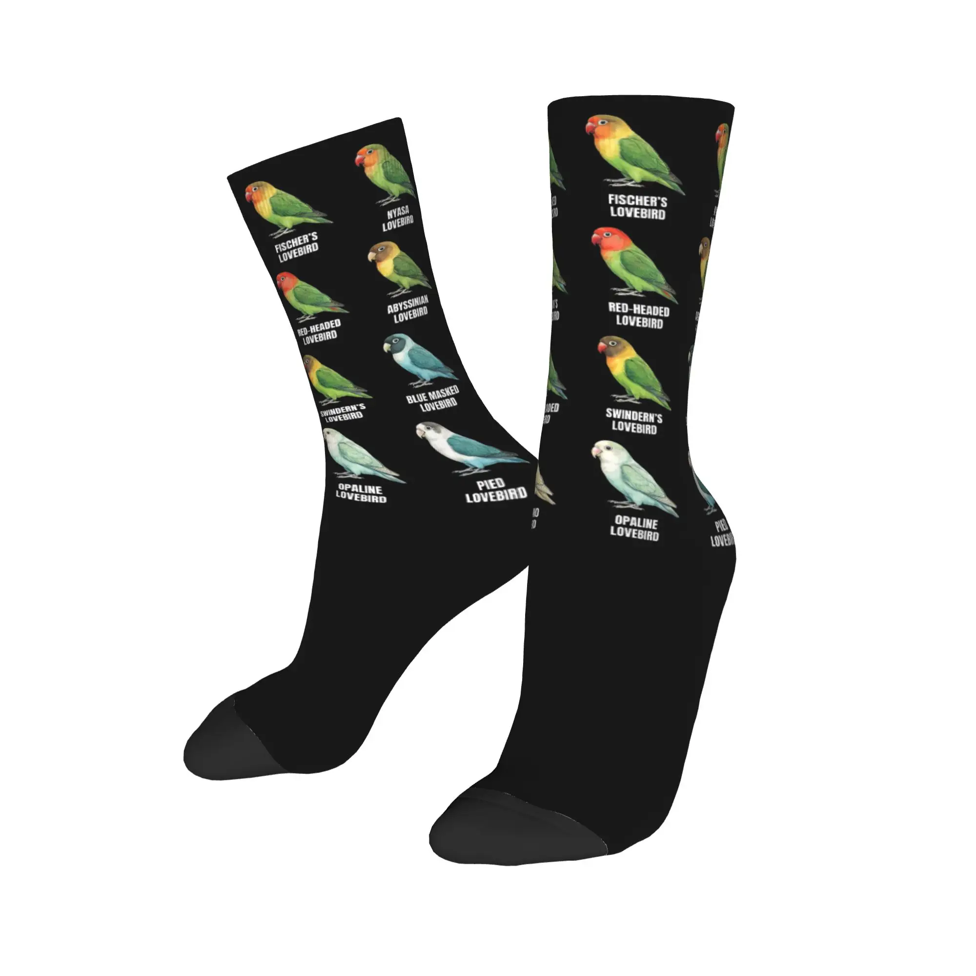 Winter Warm Colorful Women Men Parrots Bird Guide Different Parrot Species of The World Pet Socks  Breathable Soccer Socks