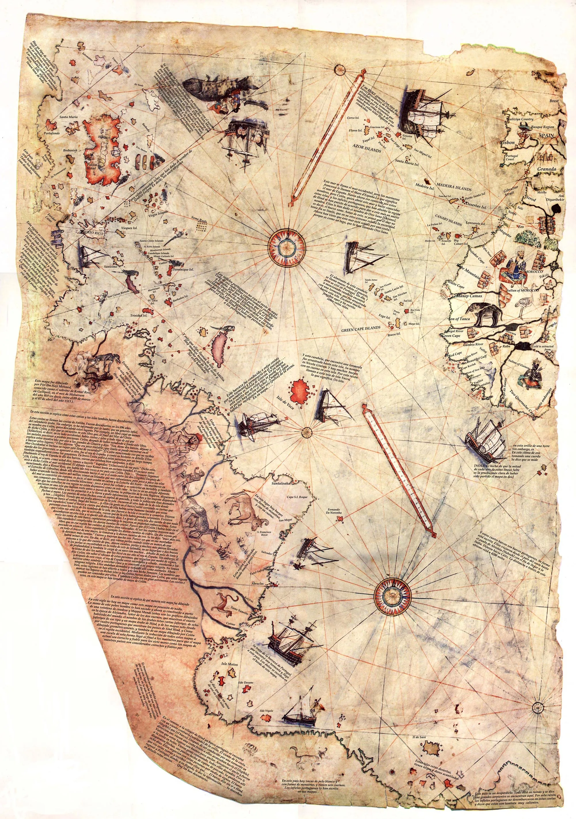 Lot style Choose The Piri Reis Map is a World Map Compiled, Art print Canvas poster, Home Wall Decor