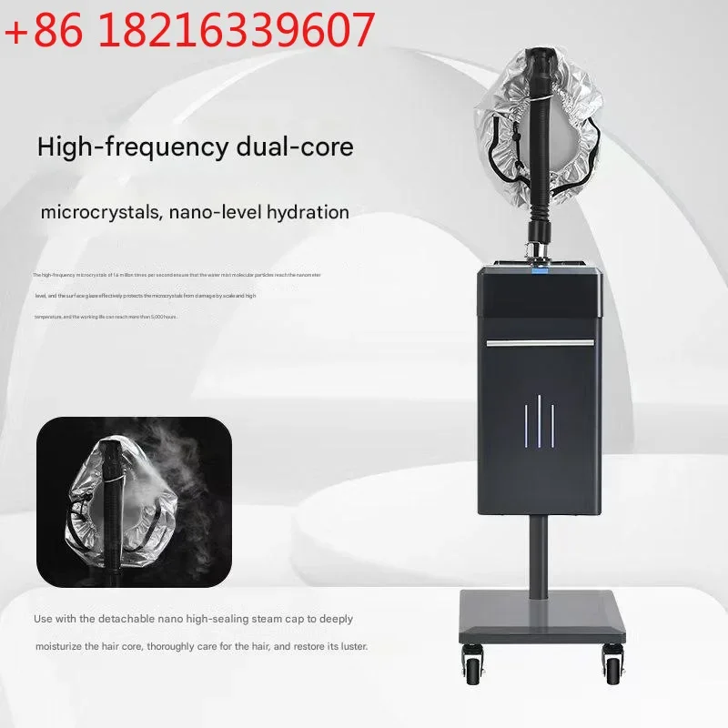 Nano Sprayer Hair Care Steam Oil Baker Head Heating Repair Instrument