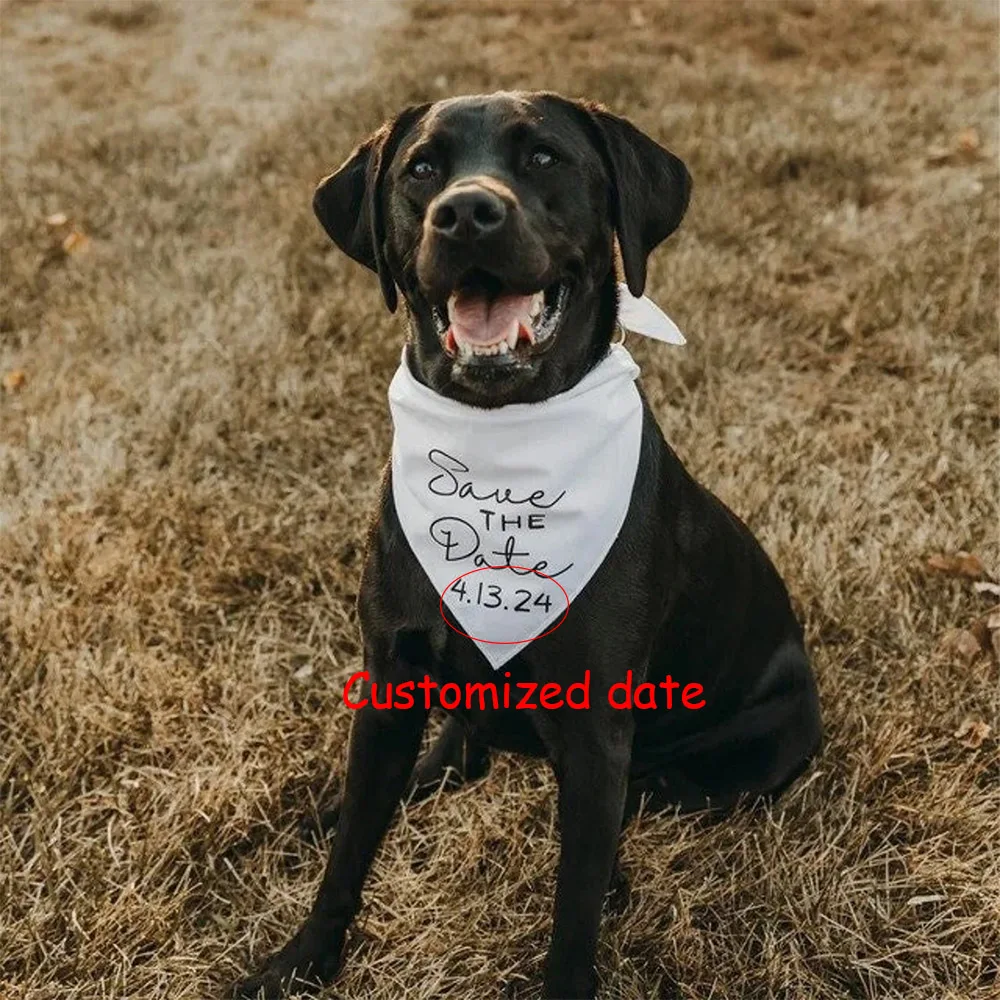 wedding Customized date Save The Date Dog Bandana My Humans are getting married engagement engagement for decor supplies favor