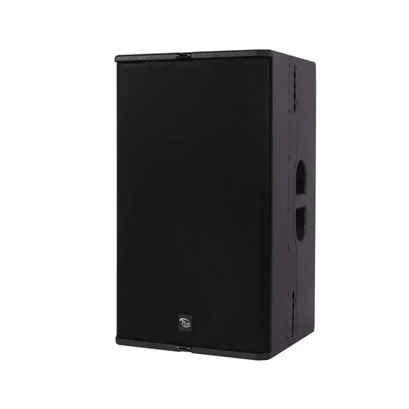 P-T24NL full range 1000W Dual 12-Inch Loudspeaker DJ PA System Professional Audio with Amplifier and Speaker