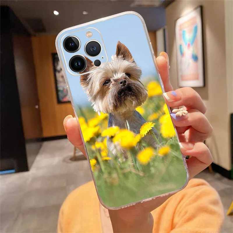 Phone Case For iphone 17 Pro Max Air 16 15 14 13 Pro Max 15 16 Pro 15Plus Cute Yorkshire terrier dog Case Funda Capa Cell