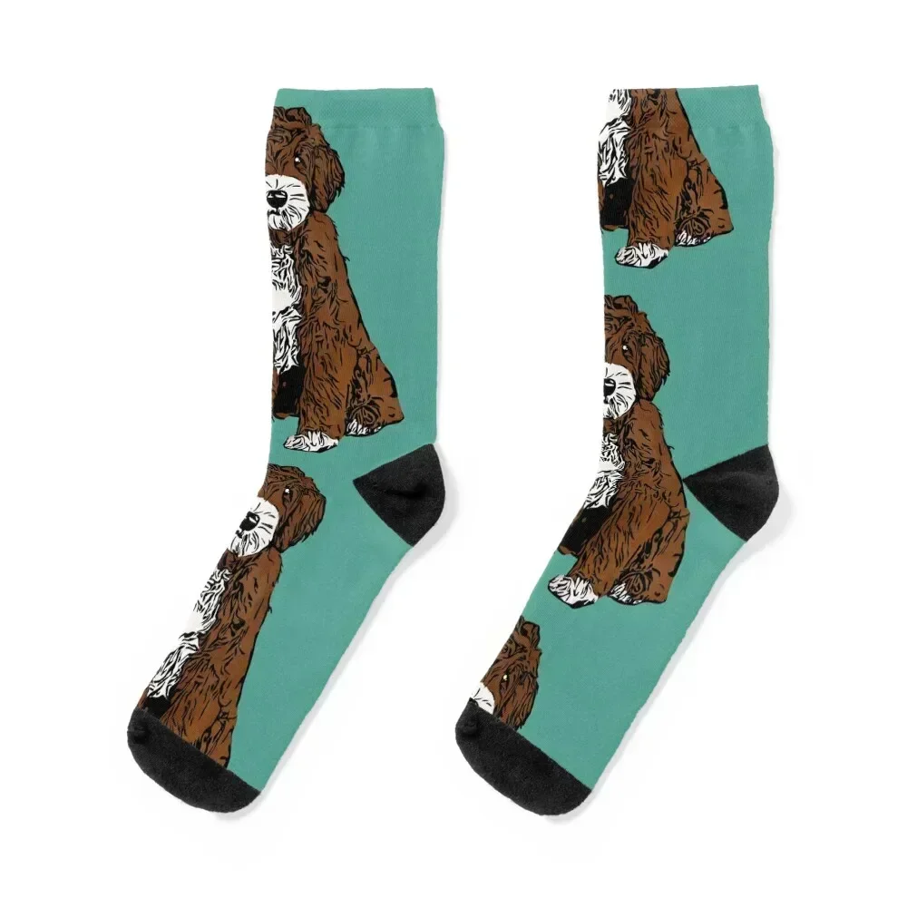 

A Cute Apricot/White Goldendoodle Socks Christmas football summer gift Socks Woman Men's