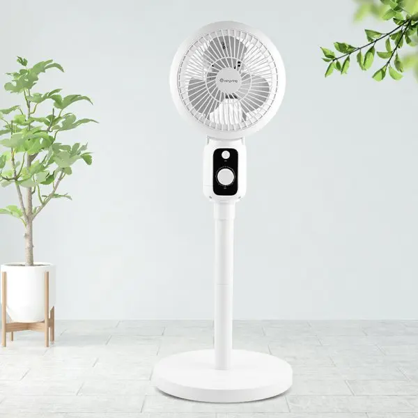 [Everyving] Evribing Easy Height Stand Type Air Circulator Avc-Ac222 리뷰: 실용성과 공간 활용의 완성