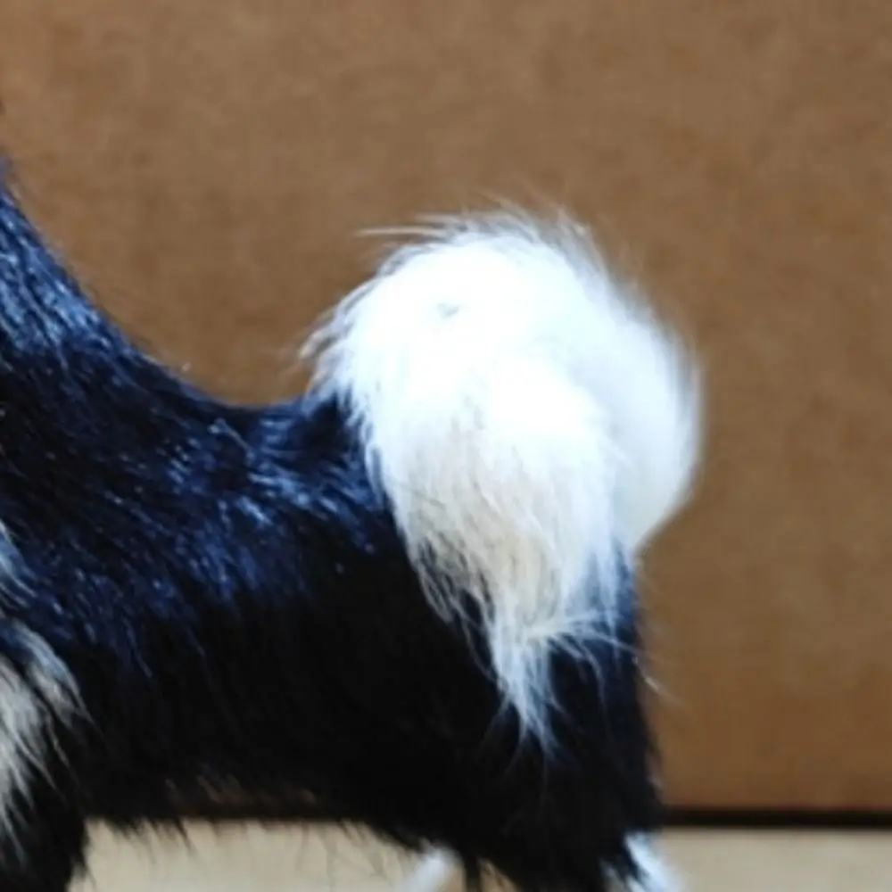 Grote Staart Wolfshond Knuffel Aantrekkelijke Ogen Geitenbont Pluche Wolfdog Pop Wit & Zwart Cartoon Hond Gevulde Plushie Pop