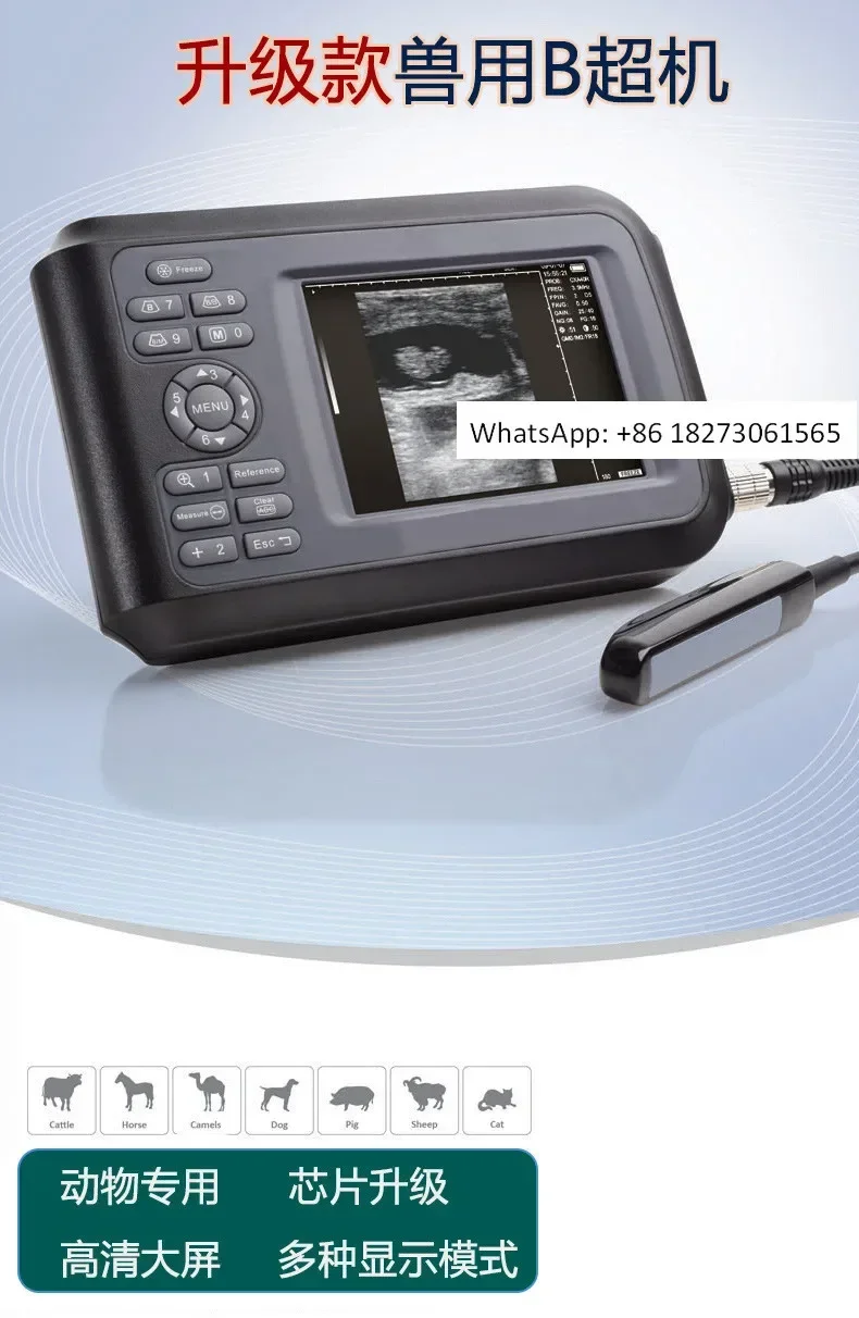 V8 Animal, Sow, Cow…