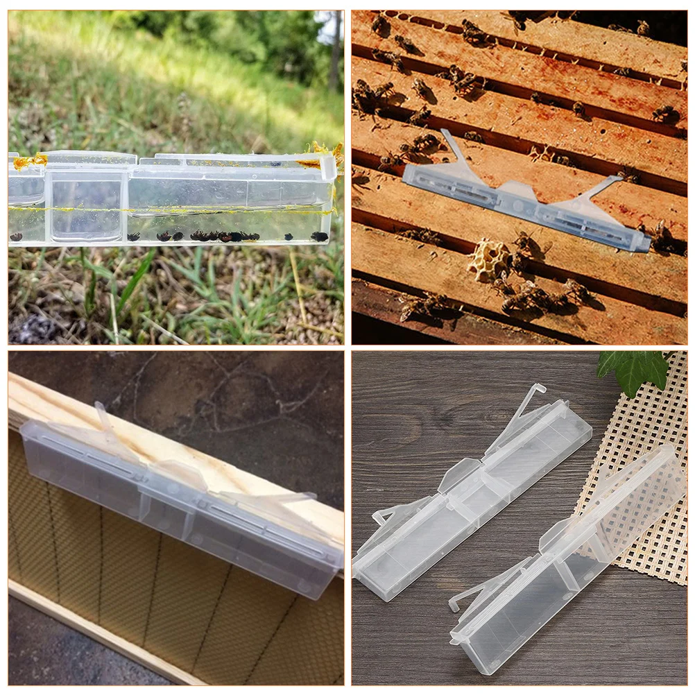 กับดักแมลงวันรังผึ้งแบบใส 6 ชิ้น ใช้ซ้ำได้ ทนทาน ทำจากพลาสติก อุปกรณ์เลี้ยงผึ้ง ใช้งานง่าย สำหรับรังผึ้ง