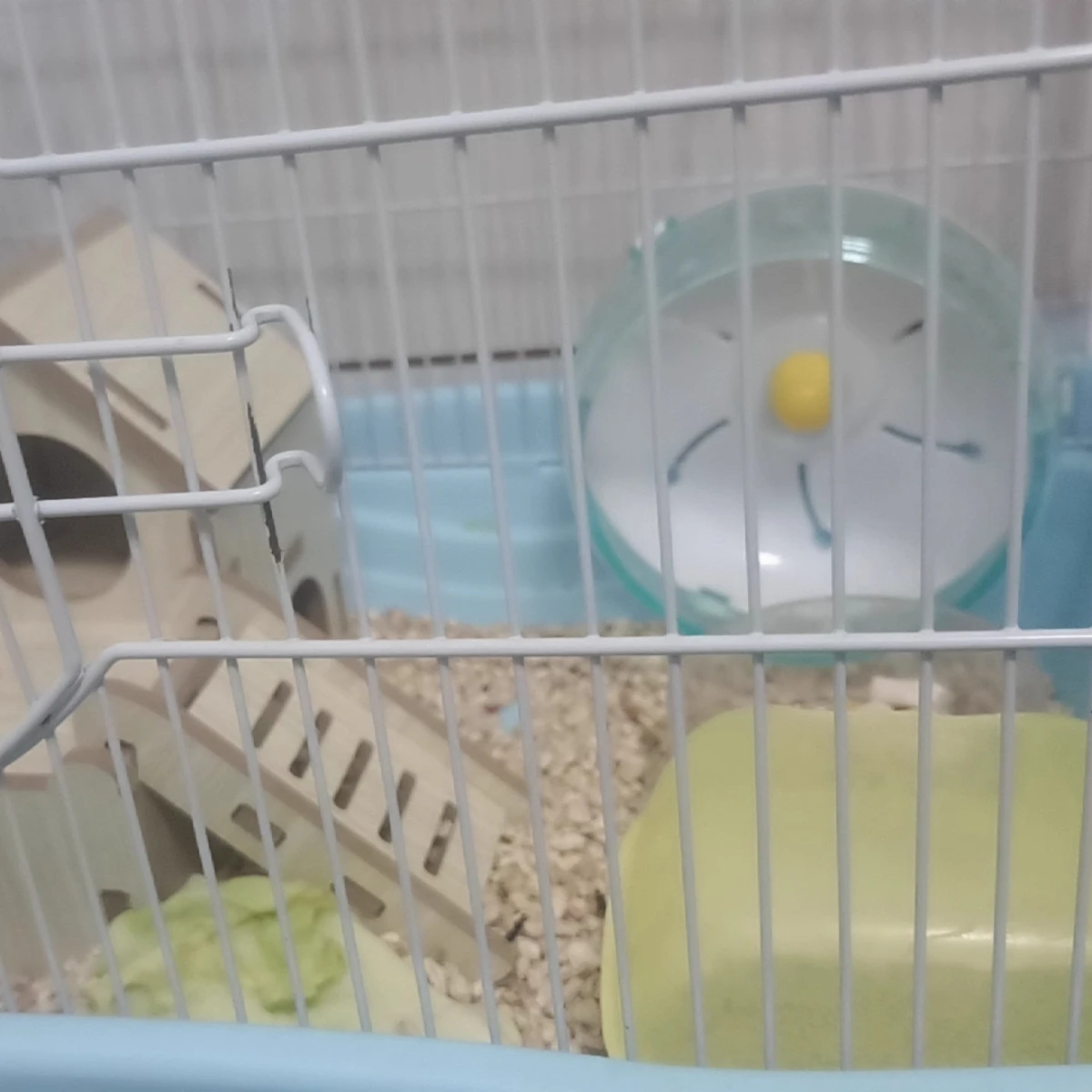 Thumbnail 2 - #35 Latest Hamster Running Wheels Offers