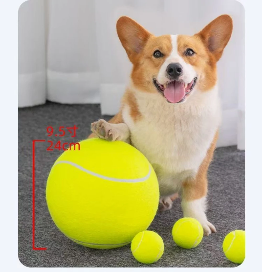 #38 Top Rubber Dog Toys Picks for Every Budget