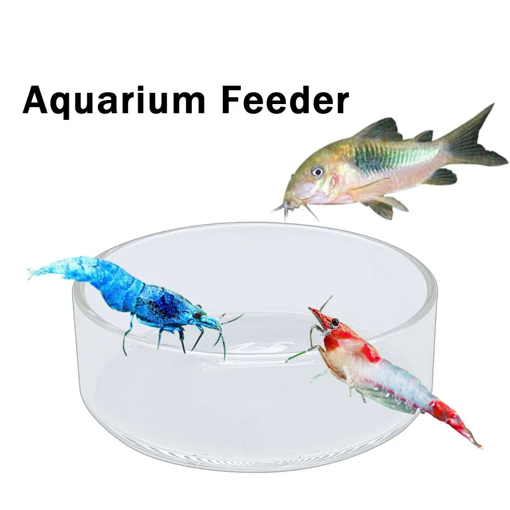 Transparent Aquarium Fish Tank Shrimp Food Feeding Circle Glass Feeder Floating Bottom Feeder Fish Shrimp Feeding Accessories