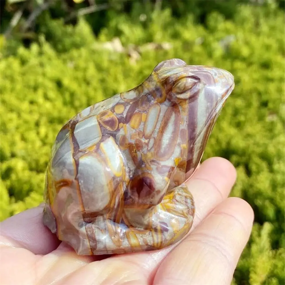 

Natural Picture Stone Frog Crystal Animal Fish Tank Landscaping Carving Healing Christmas Home Decoration Gift 1pcs