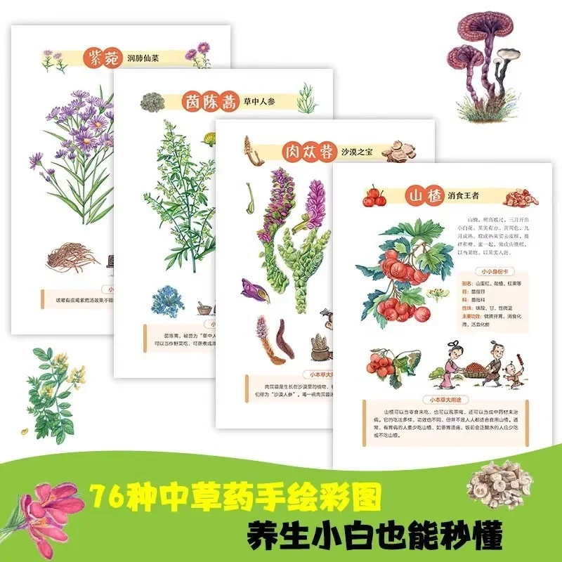 Comic Compendium of Materia Medica Children's TCM Enlightenment Picture Book Herbal Wellness Wisdom Fun Easy Learning