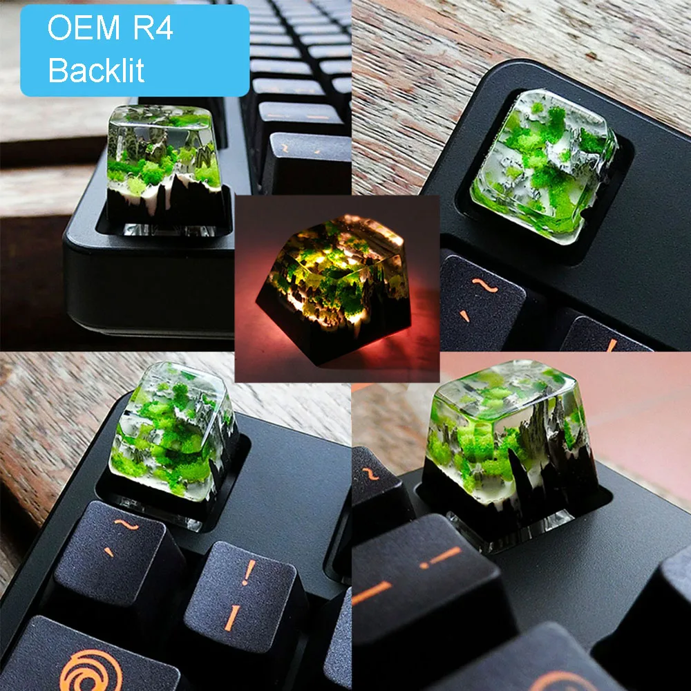 Customized Backlight Resin Keycaps For Cherry Mx Switch Mechanical Keyboard OEM R4 Luminous Snow Mountain Jungle Wood Key Caps