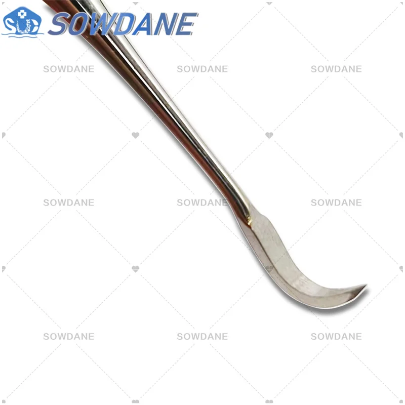 Dental Orthodontic Ligature Director with Scaler Dental Tooth Cleaning Tool Stainless Steel Dental Instrument