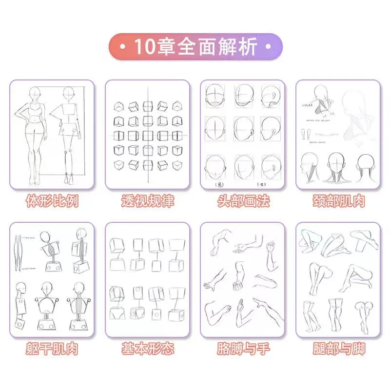 Anime Characters Tracing Sketch Hand Painted Tutorial Book Structure Of The Human Body Copy Practice Line Draft Practice Books