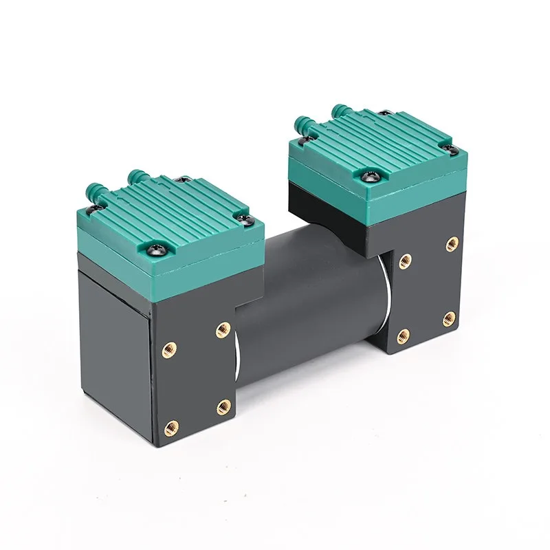 Small DC Vacuum Pump 12V24V220V Negative Pressure Pump Pumping Dual-purpose Double-head Miniature Diaphragm Air Pump