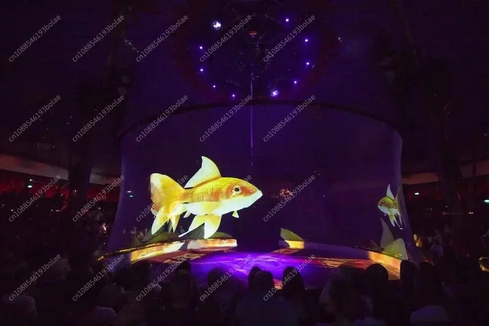 3D holographic mesh projection screen for hologram exhibition ,circus display ,Wedding